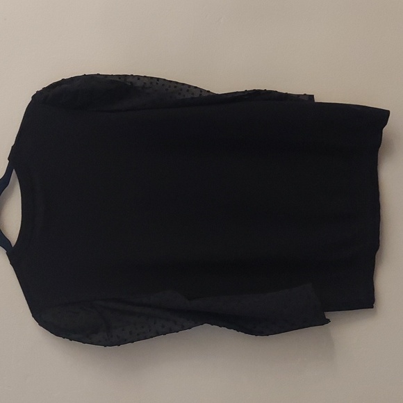 ADRIANNA PAPELL Black Crewneck Swiss Dot Sheer Long Sleeve Pullover Sweater - Picture 9 of 11